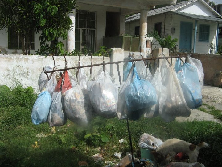 Poubelles  Cuba