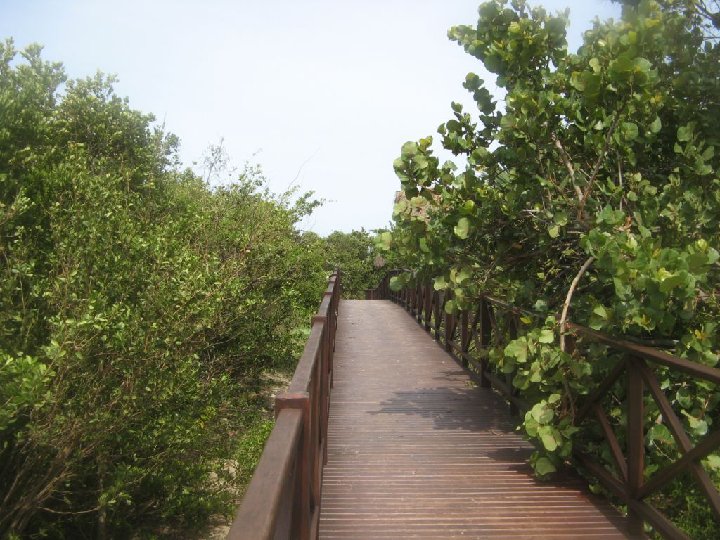 le petit pont de bois vers la mer