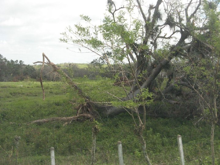 L'ouragan Ike