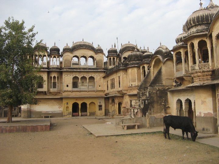 havelis Nawalgarh