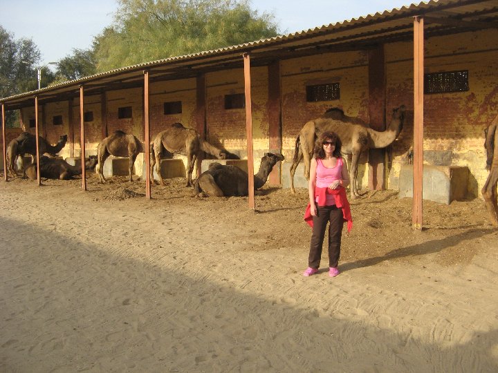 Camel Center Bikaner
