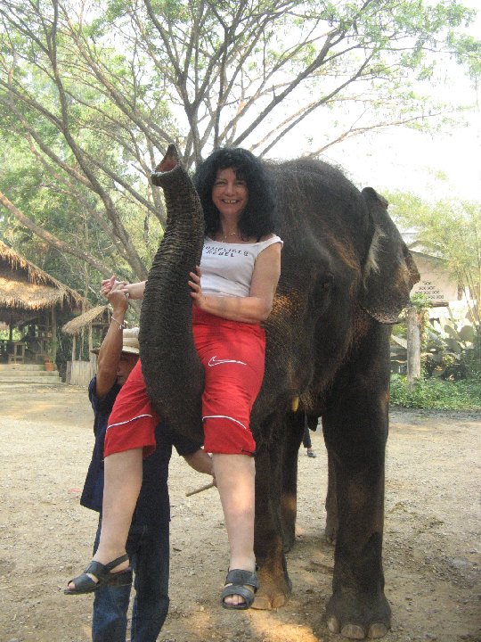 Maetaman Elephant Camp:lphants de Thalande