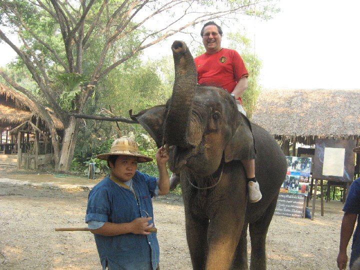 lphants de Thalande : Maetaman Elephant Camp
