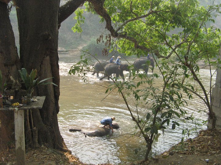 Maetaman Elephant Camp