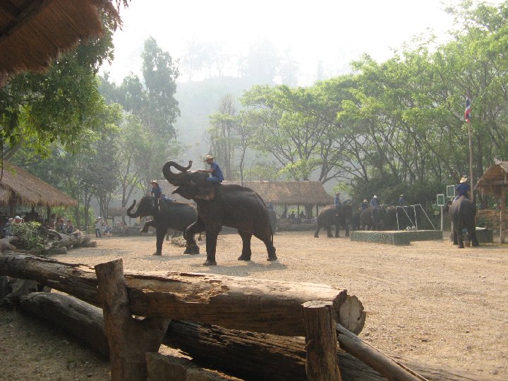 Maetaman Elephant Camp