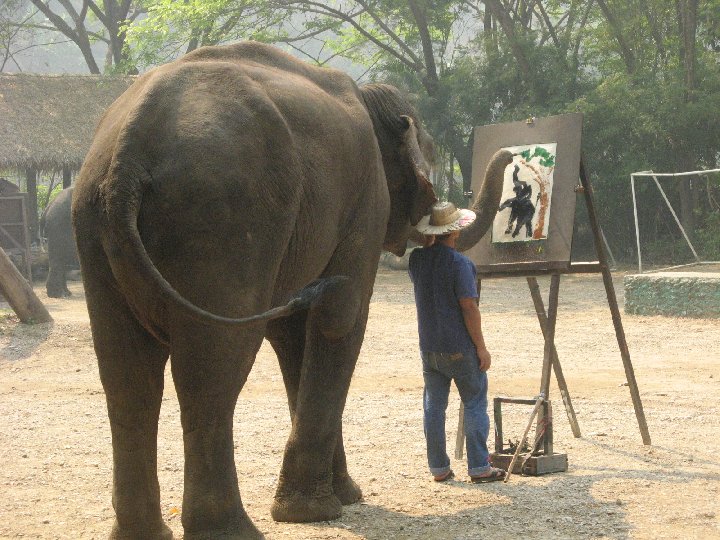 lphants de Thalande