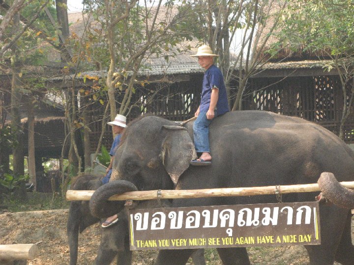 lphants de Thalande