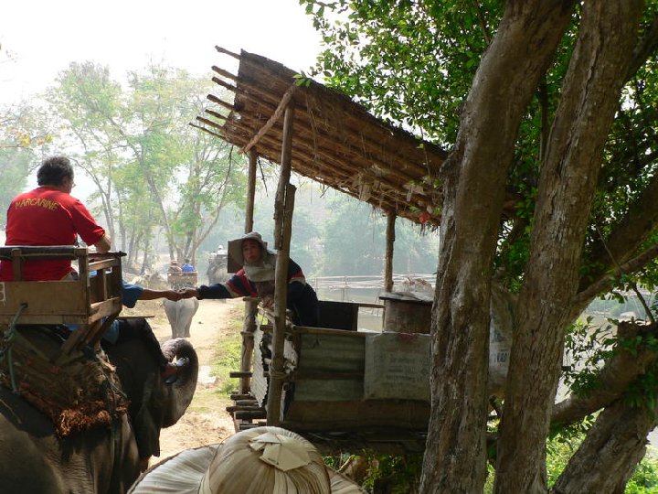 Maetaman Elephant Camp