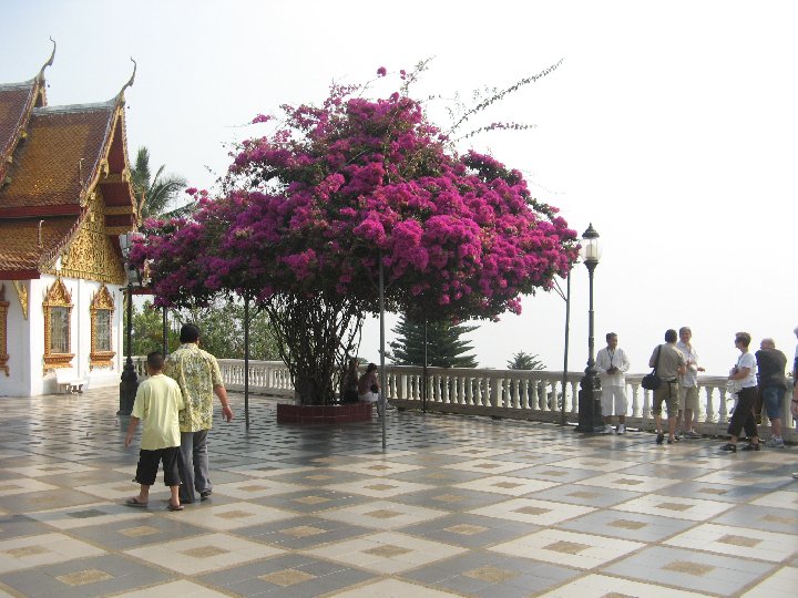 Chiang Mai Wat Phra That Doi Suthep