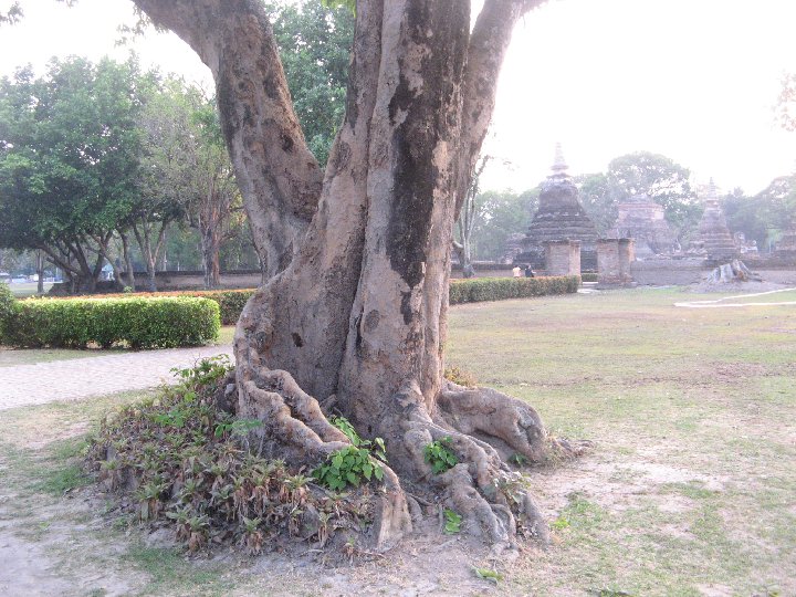 Sukhothai