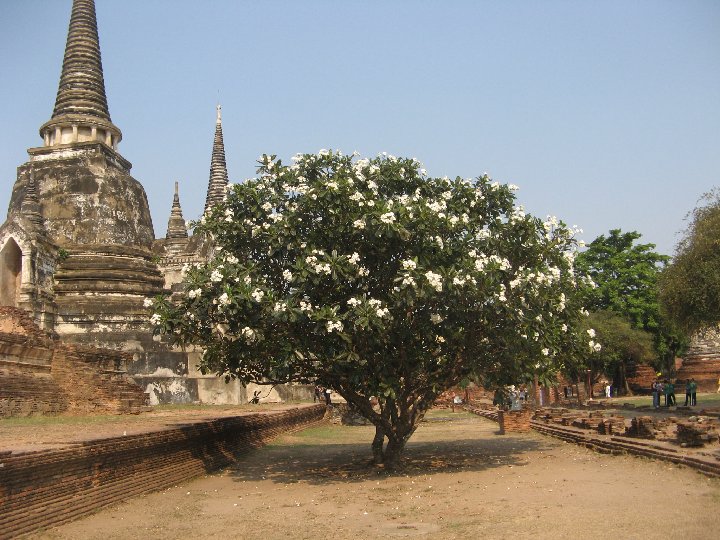 Ayutthaya