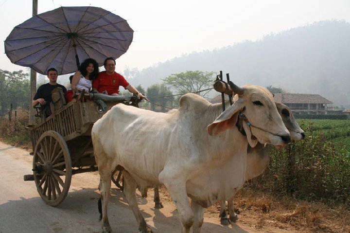 transport lent pour touristes fortuns