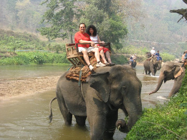 Elephant en Thalande